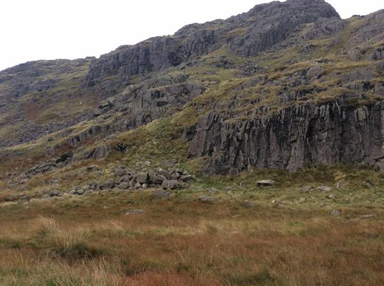 14590313_695702877249707_8442302491884955367_n