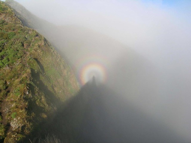 from-tramper-nz-website