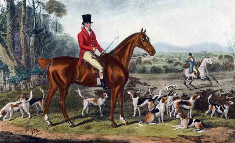 John Mytton looking splendid with some of his thousands of dogs on a hunt.
