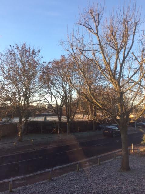 Apricity  - The warmth of winter sun