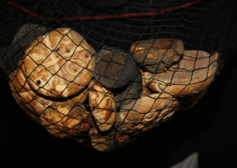 Hot Cross Buns in Widows Sun.jpg