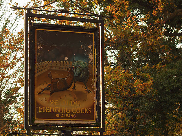 Screen Shot 2017-05-18 at 08.56.52