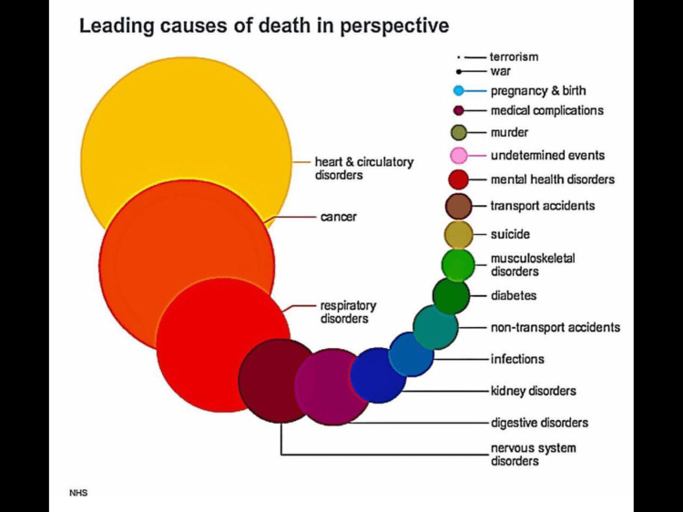 Risk Of Death From Terrorism