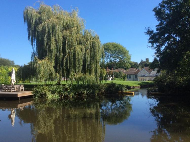 21034725_888467227973270_7459635411345625257_n