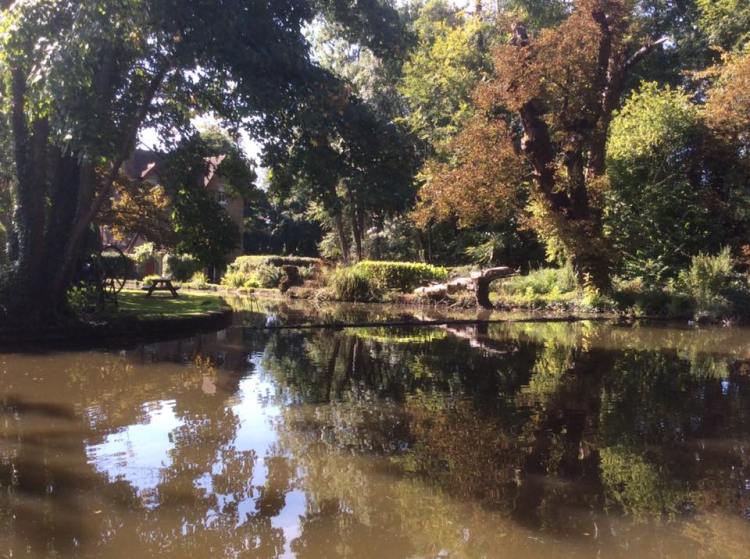 21077527_888467051306621_9204820241896438378_n