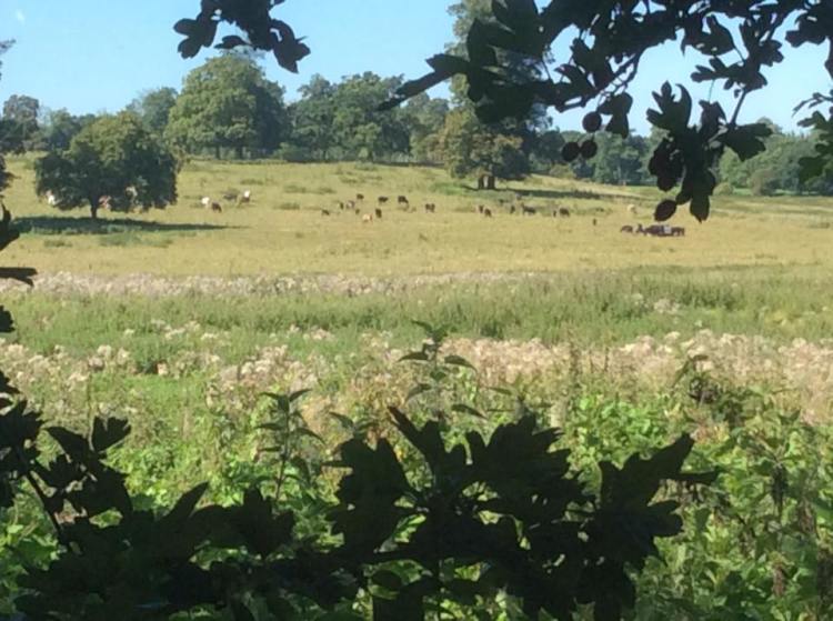 21077724_888467204639939_7541813304689055440_n