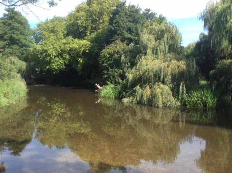 21105620_888466734639986_944753308483928172_n