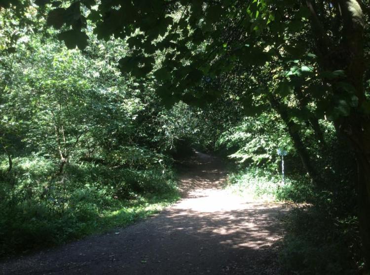 21105815_888466741306652_4230911876565987502_n