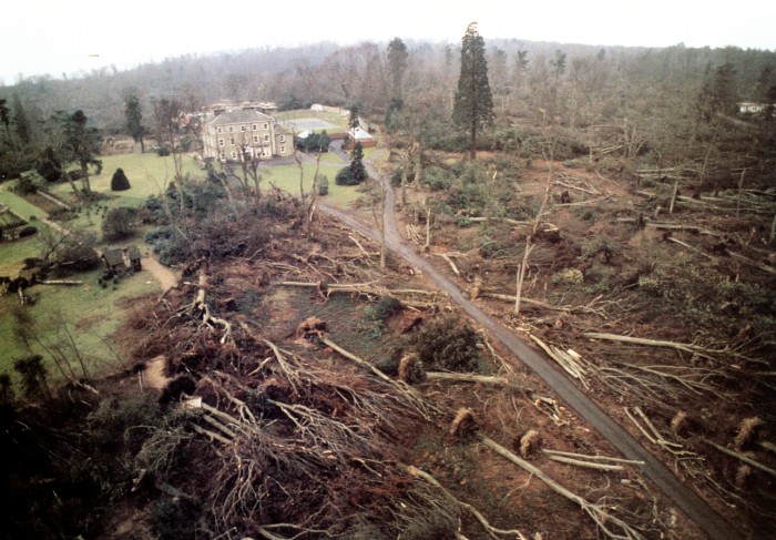 The Great Forests, parks and gardens of South East England were decimated.
