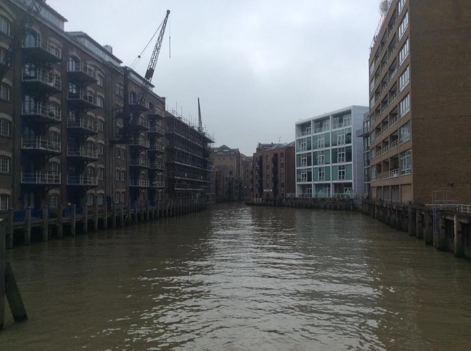 23559891_931018533718139_285817605908966733_n