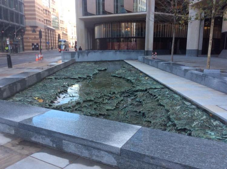 25593905_952490268237632_8960619562270758044_n