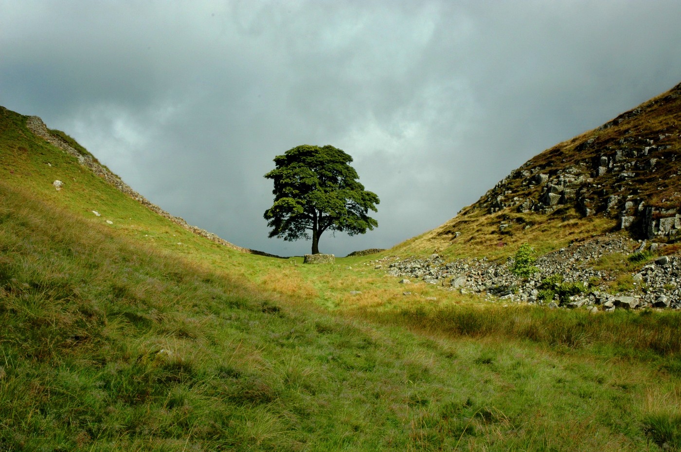 One of the mos famous trees in Britain, Sycamore Gap. Made iconic in the 1991 Robin Hood - Prince of Thieves film. In reality it makes no sense to go 400 miles plus from the Channel to camp here overnight before going to Nottingham... as Nottingham is the half way spot!