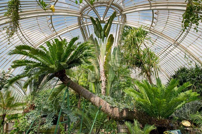 Inside the massive Glasshouse