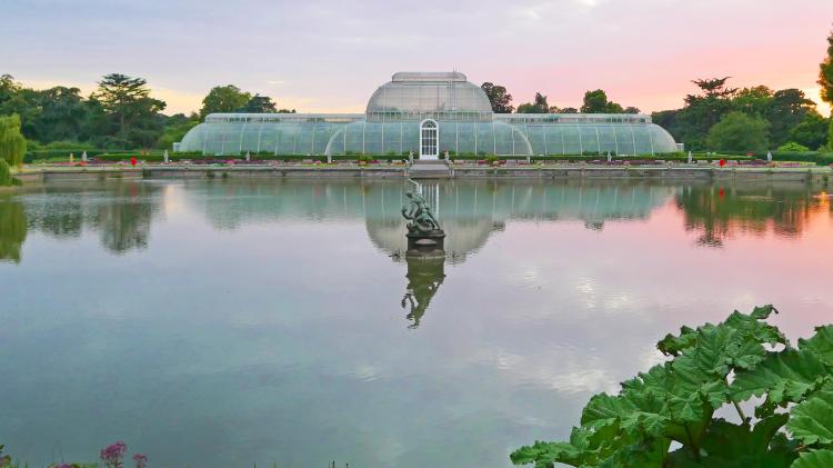 Palm House pond