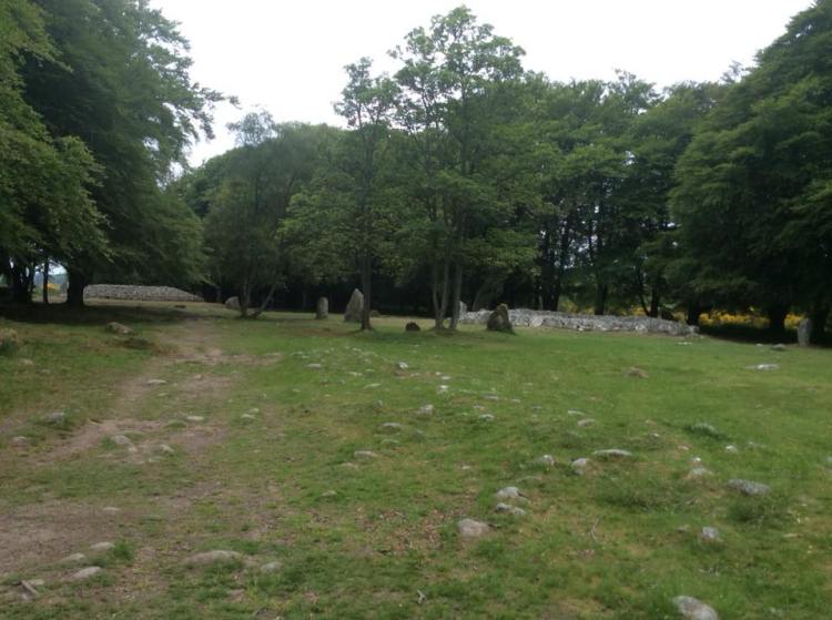 35180995_1057115977775060_5192334054606766080_n