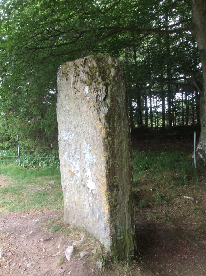 35200390_1057116487775009_8600979607207804928_n