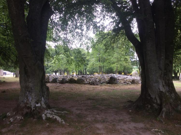 35247755_1057116597774998_7579468678630998016_n