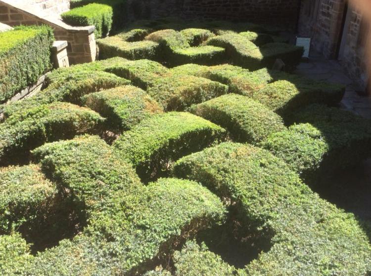 36566662_1078145755672082_7910037450817273856_n