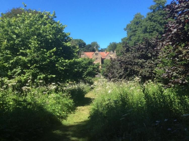 36569490_1078145489005442_1244384233334505472_n