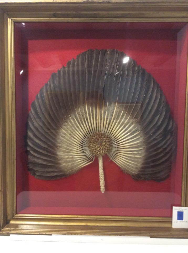 36603202_1078098469010144_7261822857447997440_n