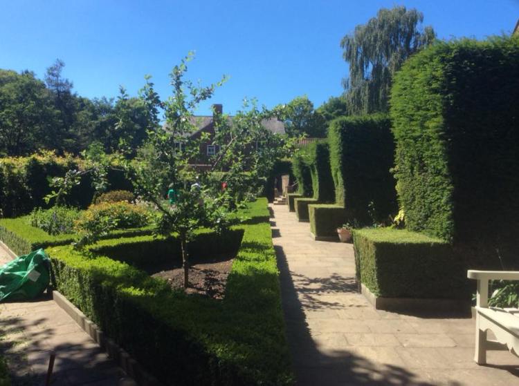 36617979_1078092592344065_4481472810559995904_n