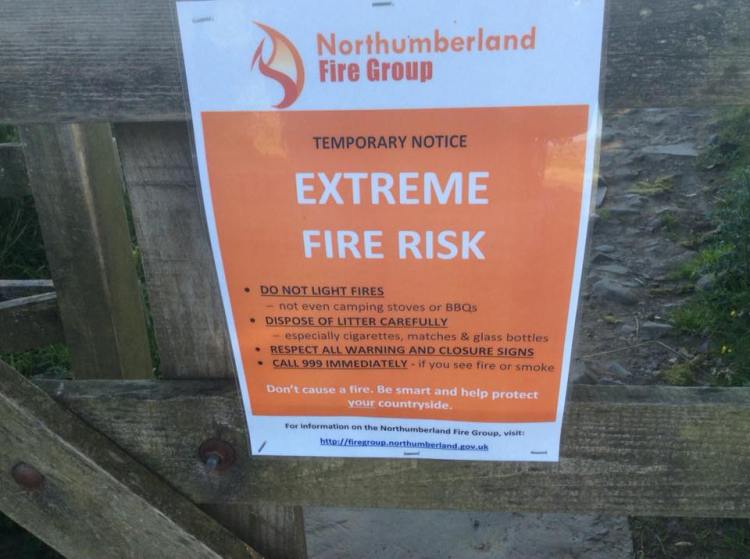 36669885_1080700455416612_678732294512443392_n