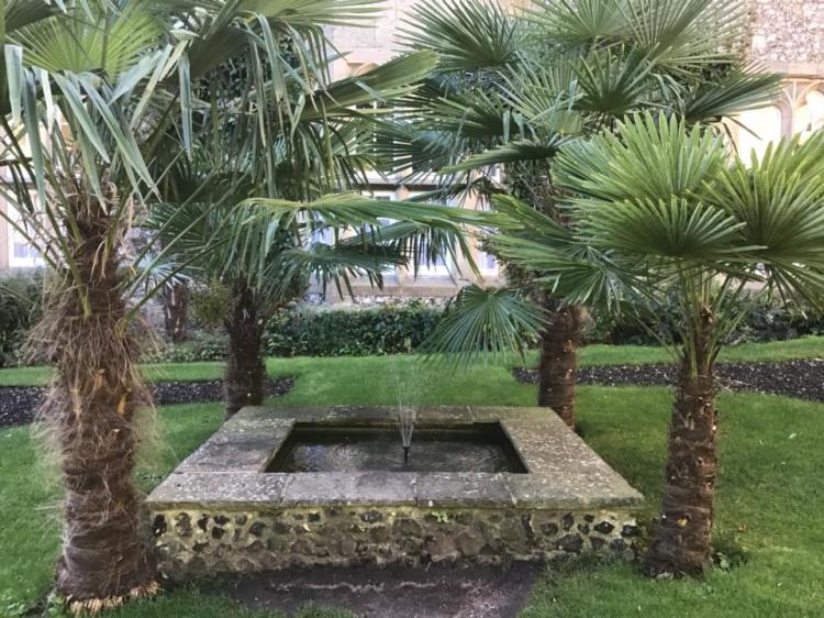 42526390_1157010987785558_6181378427744944128_n