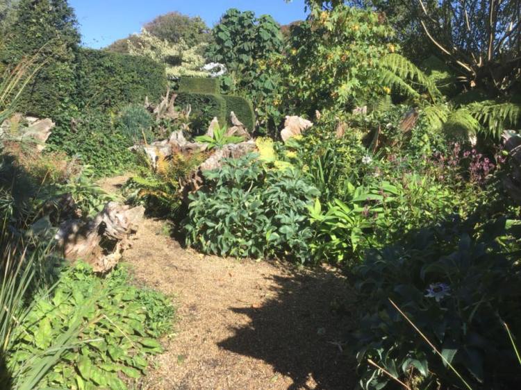 42533390_1157030831116907_2334785290582884352_n