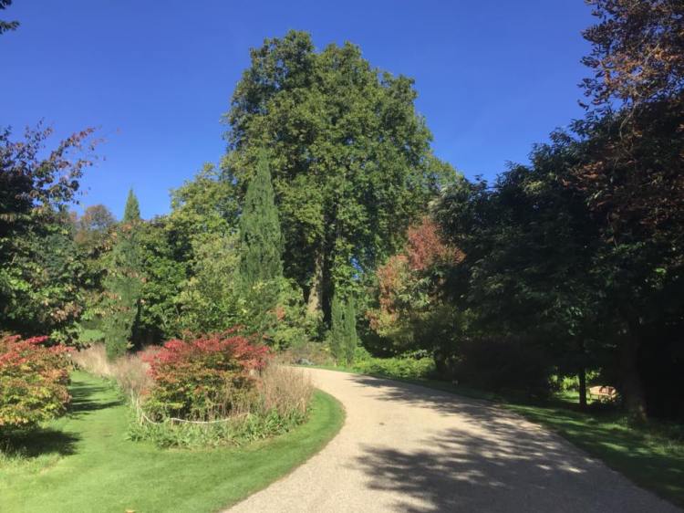 42551338_1157010847785572_1708206204125184000_n