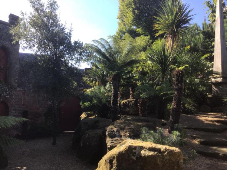 42574351_1157030601116930_3696531416541036544_n