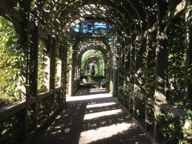 42604350_1157030357783621_2300611043262464000_n