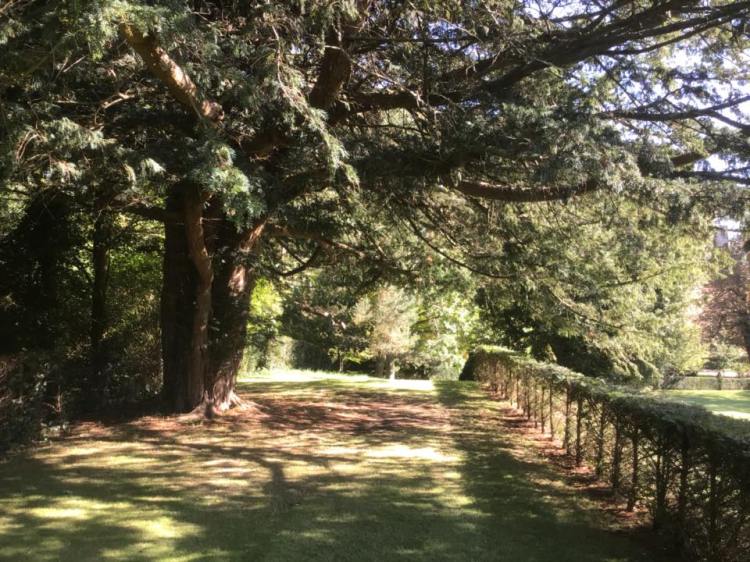 42640193_1157038271116163_4986967723742330880_n