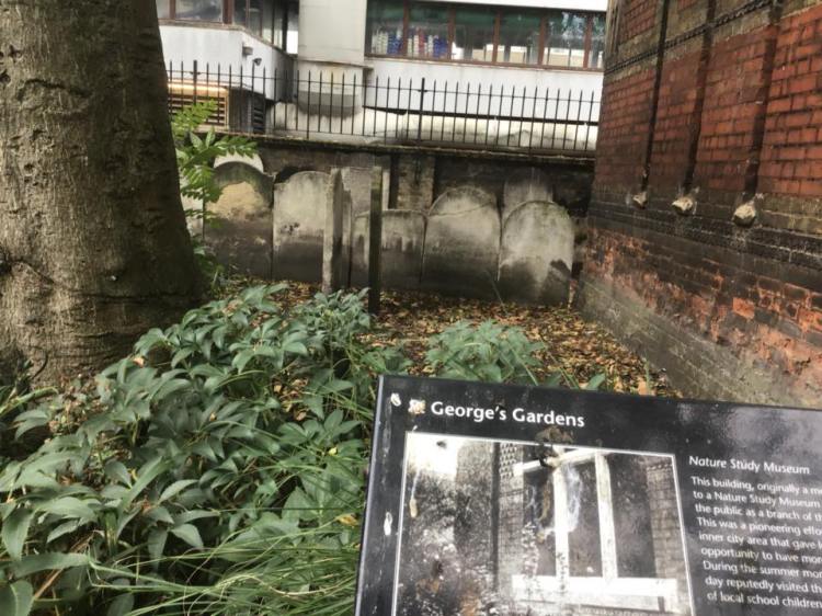 42948448_1160594627427194_8437419251052052480_n