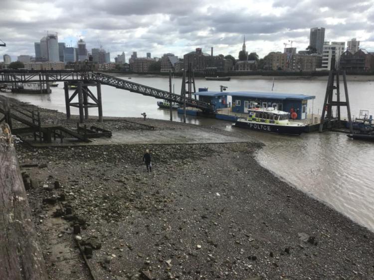 42972037_1160582964095027_1641144249757990912_n