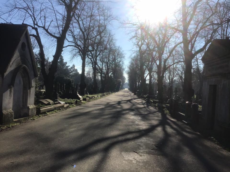 52396324_1255035517983104_1864641922501443584_n