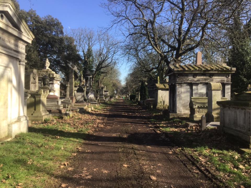 52577871_1255050994648223_5103856225070612480_n