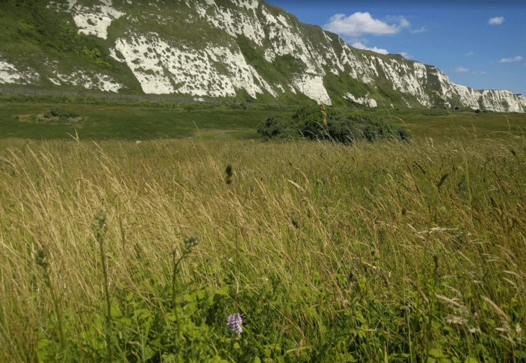 Screen Shot 2019-02-05 at 11.03.50.png