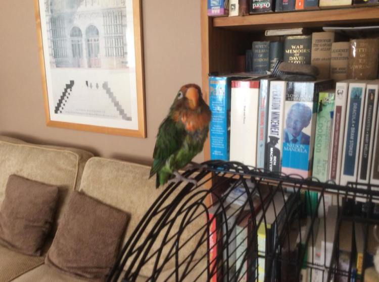 37908843_1103760003110657_9154224785671061504_n