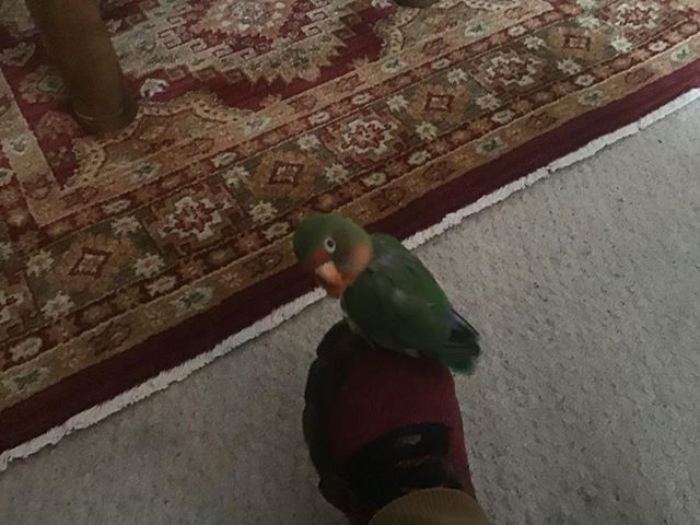 48424889_2087577614634109_8501751255486431232_n