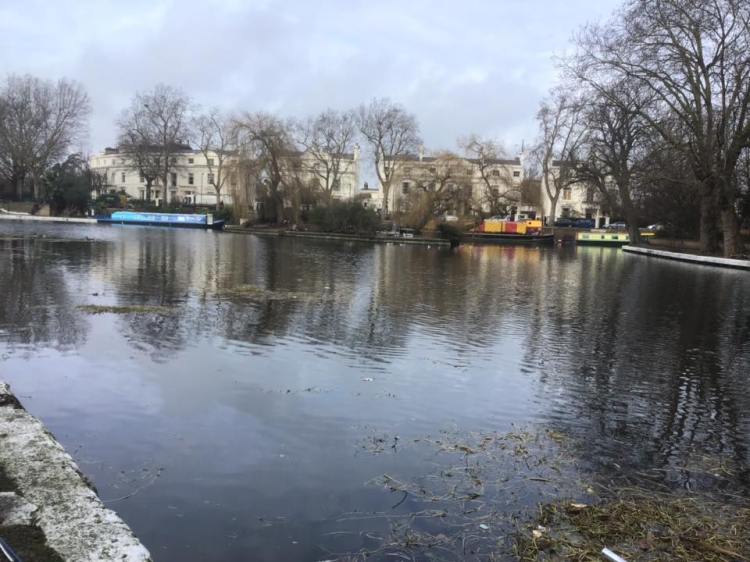 51665042_1253524481467541_456392785470160896_n