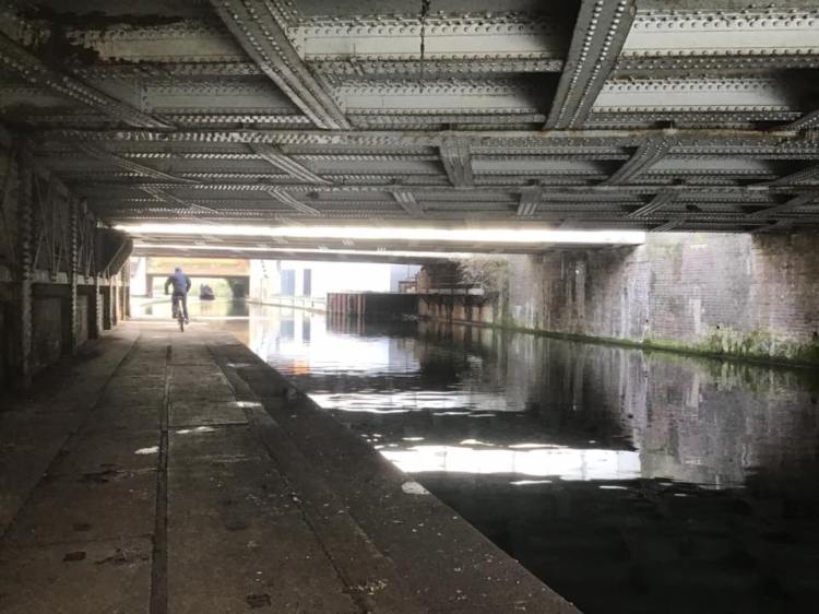 51797887_1253524964800826_4178485609679028224_n