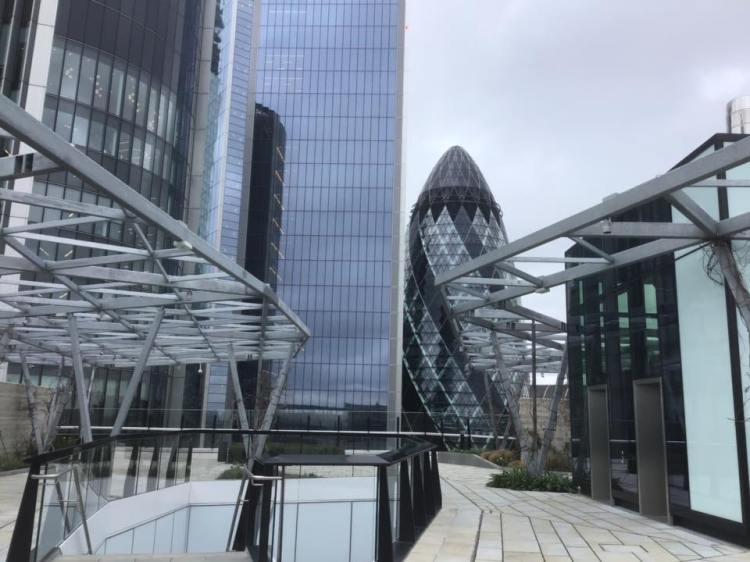 53382589_1268548906631765_8589858059977752576_n