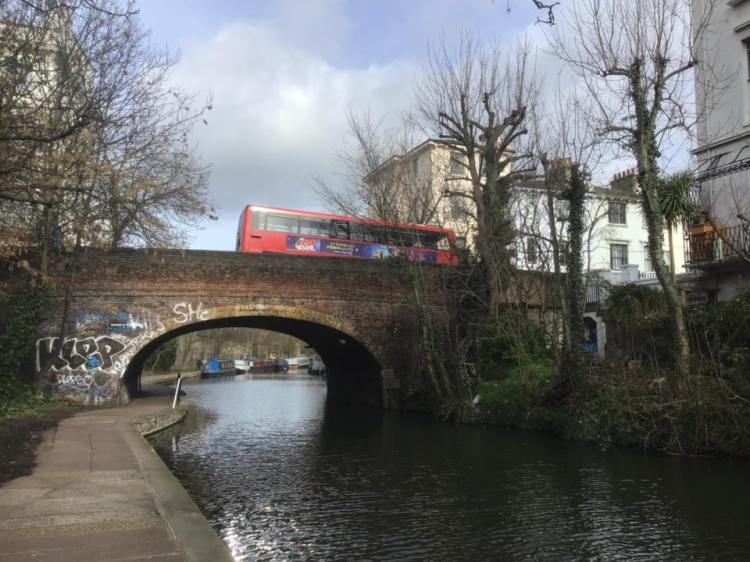 51734054_1253551211464868_6525689205492809728_n