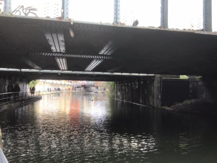 51768505_1253554188131237_6161534175598870528_n