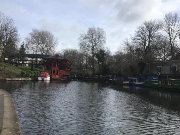 51822109_1253539674799355_3217262913697873920_n