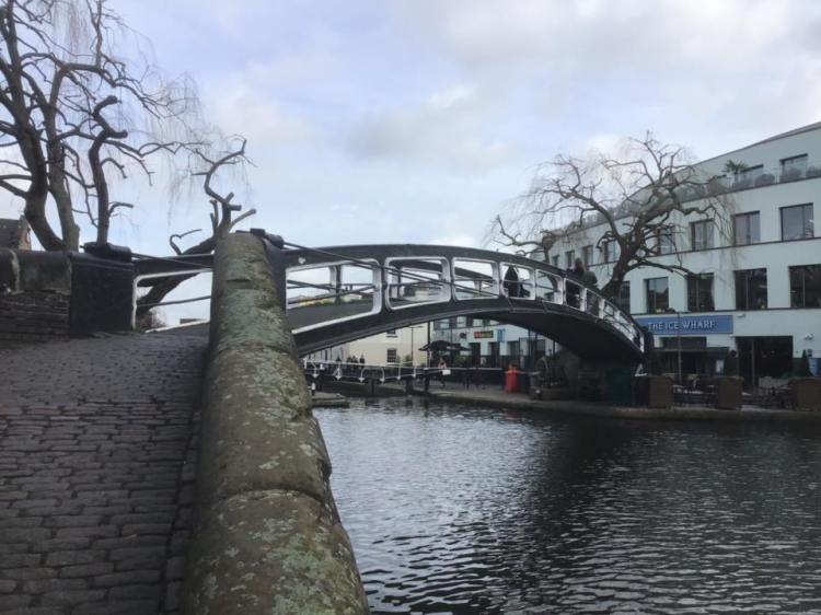 51838933_1253554664797856_1533655434680860672_n