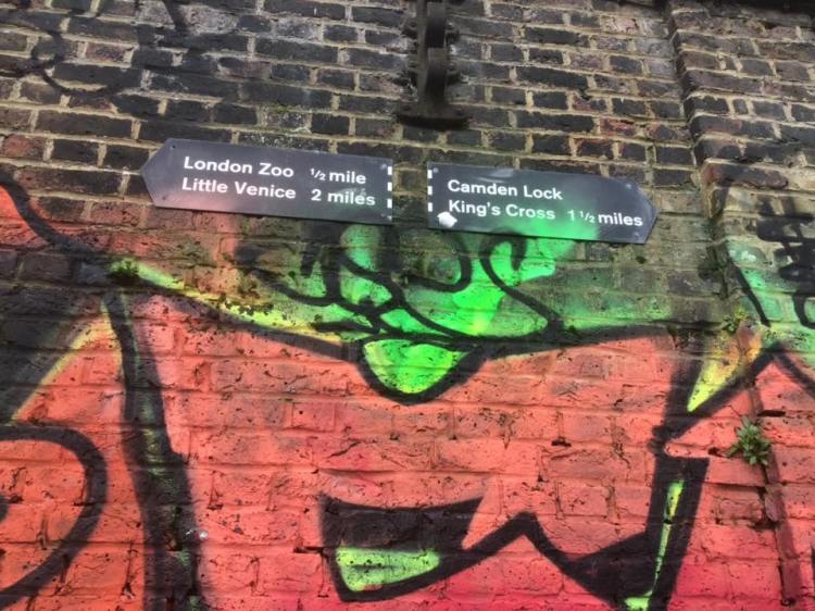 51931641_1253554348131221_9122168730321682432_n