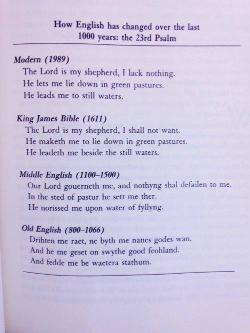 69451390_2094137264227761_5349625686950674432_n