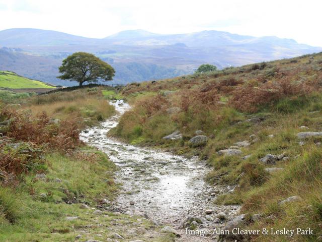 wasdalecorpsrd-badged