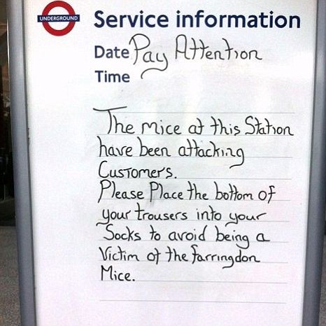 article-1346169537418-14b8dd31000005dc-943876_466x466